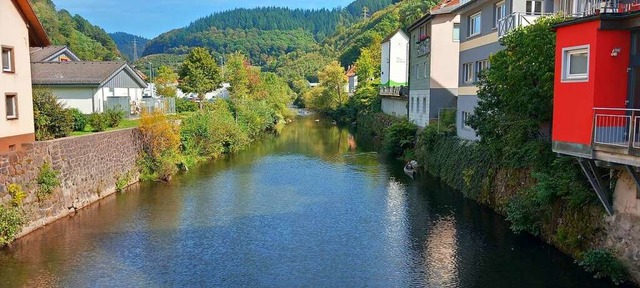 Am Todtnauerliweg (links) soll ein Steg ber das Wiesenufer entstehen.  | Foto: Edgar Steinfelder