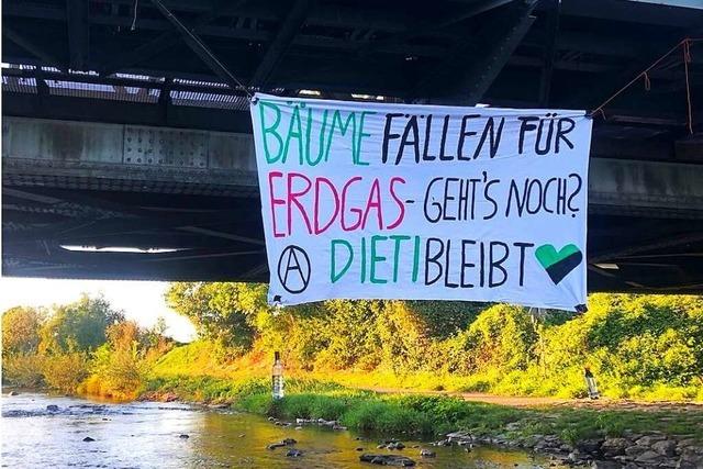 Warum in Freiburg fr eine Erdgasleitung Bume gefllt werden