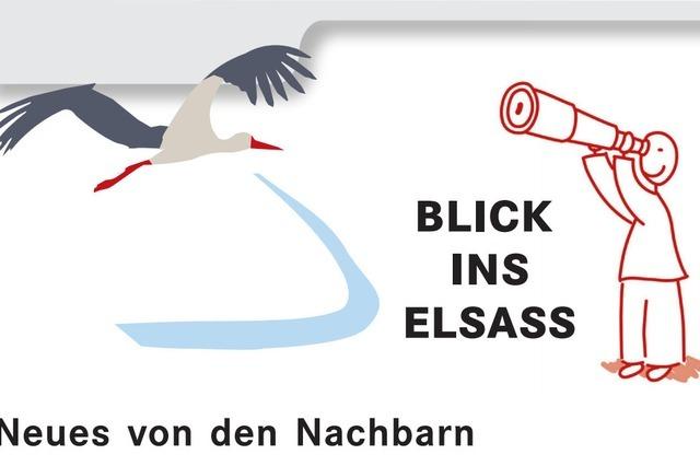 Hauptstadt der Biodiversitt