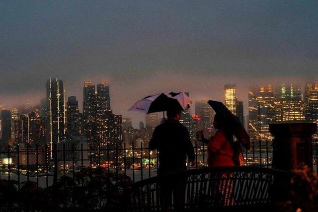 Als New York im Regen versank und eine Seelöwin ihre Chance witterte
