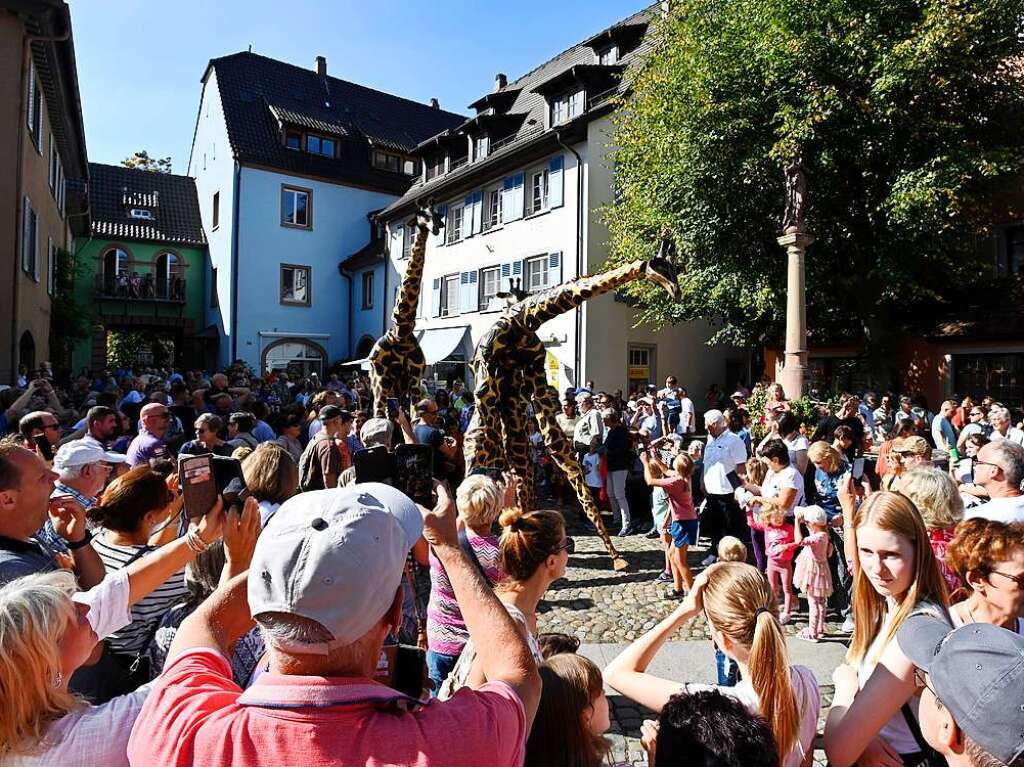 Magische Tiere, sommerliche Temperaturen: Staufen platzte beim verkaufsoffenen Sonntag aus allen Nhten.