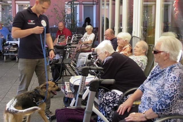 Hundestaffel besucht Senioren