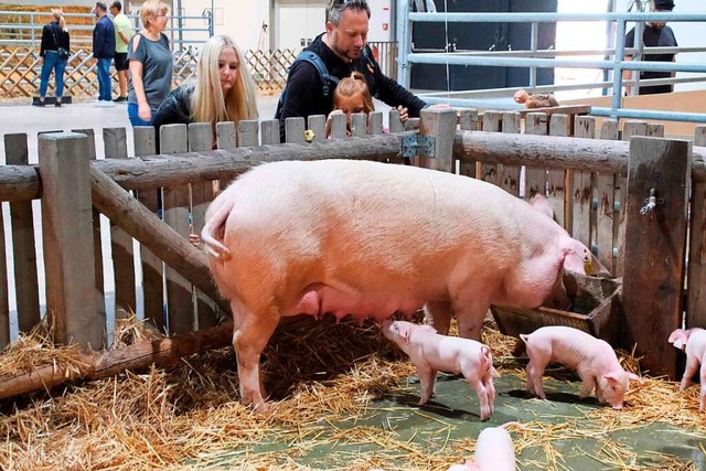 Tiere drfen bei der Oberrheinmesse in...freuen vor allem Familien mit Kindern.  | Foto: Hubert Rderer