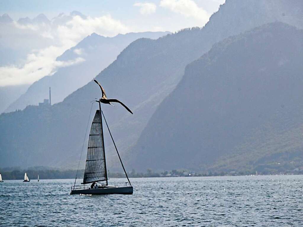 Wassersport  am Ufer des Lac Leman