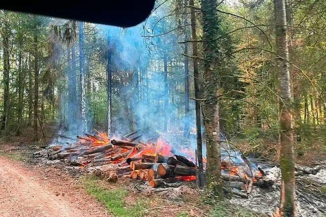 Im Hauinger Wald wurden gestapelte Baumstämme in Brand gesetzt