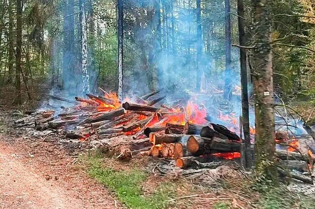 Einer der beiden brennenden Holzstapel im Hauinger Wald  | Foto: Feuerwehr Lrrach