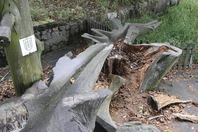 Der Holzbrunnen ist zerfallen