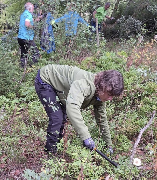 Eine Freiwillige im Einsatz fr die Offenhaltung.  | Foto: privat