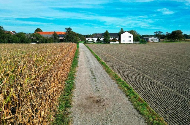 Ein Feldweg in Naarn. In sterreich is...on einem Hund zu Tode gebissen worden.  | Foto: Fotokerschi.At, Taras Panchuk (dpa)