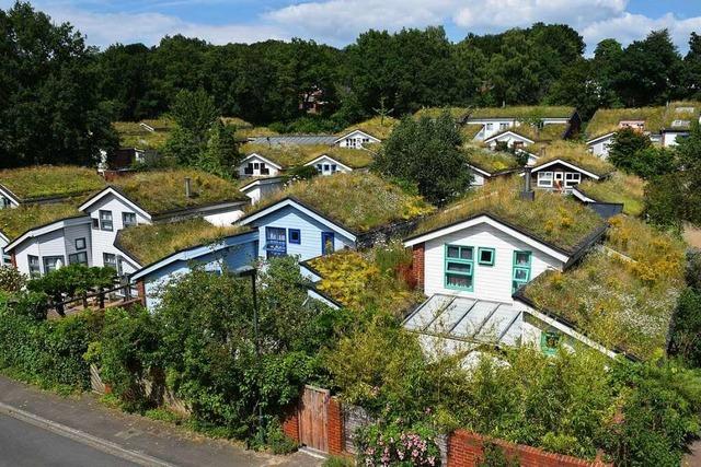Grüne Dächer haben Vorteile für Gebäude, Bewohner und Umwelt