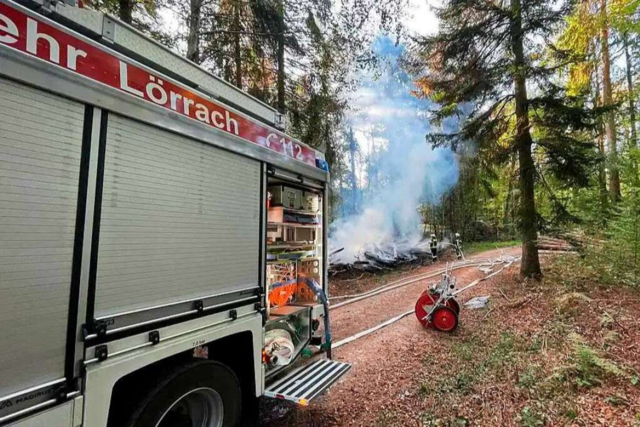 Im Wald von Lörrach gibt es eine Serie von Brandstiftungen