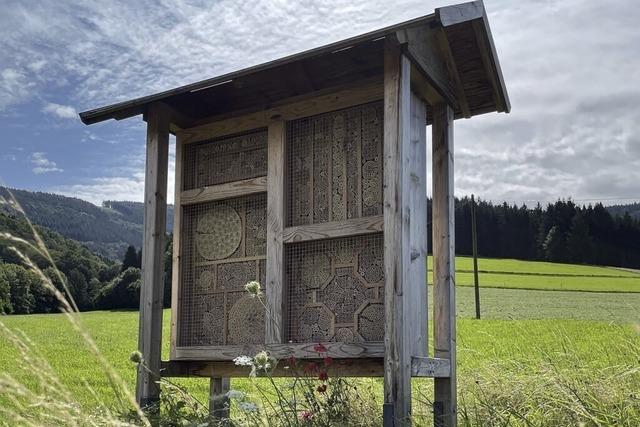 Wandern mit Genuss und Bienenkunde