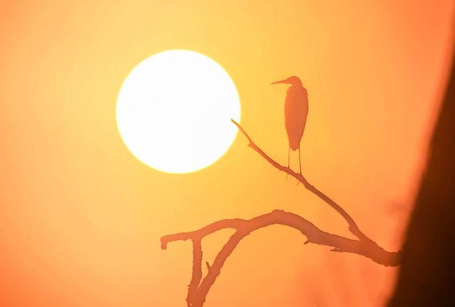 Der September war auch am Hochrhein um einiges zu warm.  | Foto: Thomas Warnack (dpa)