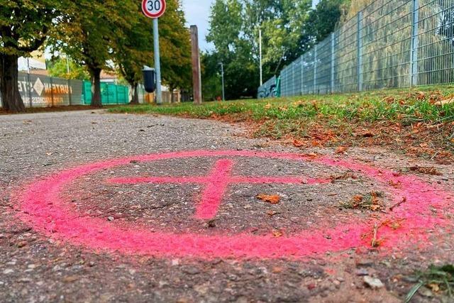 Im Lahrer Ortsteil Langenwinkel formiert sich Widerstand gegen einen Klinik-Neubau