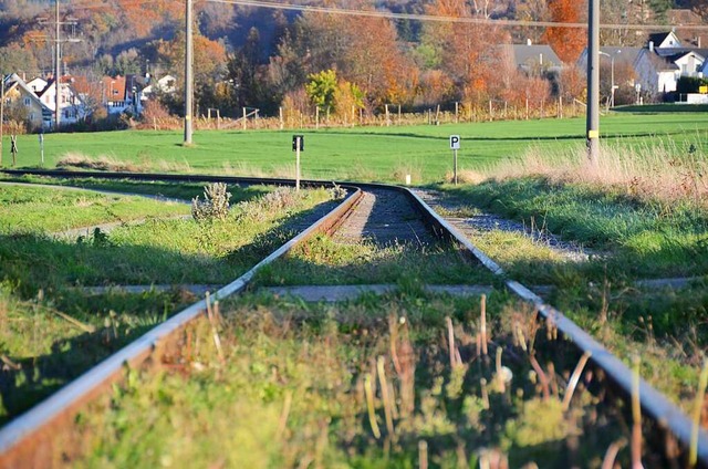 Die  Kandertalbahn, hier Gleise zwisch...n, soll als S-Bahn reaktiviert werden.  | Foto: Moritz Lehmann