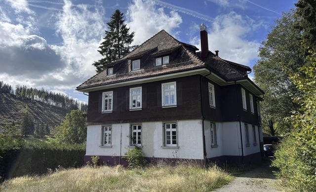 An den Wnden des Hauses in Falkau sind die Wasserflecken deutlich zu erkennen.  | Foto: Merlin Frey