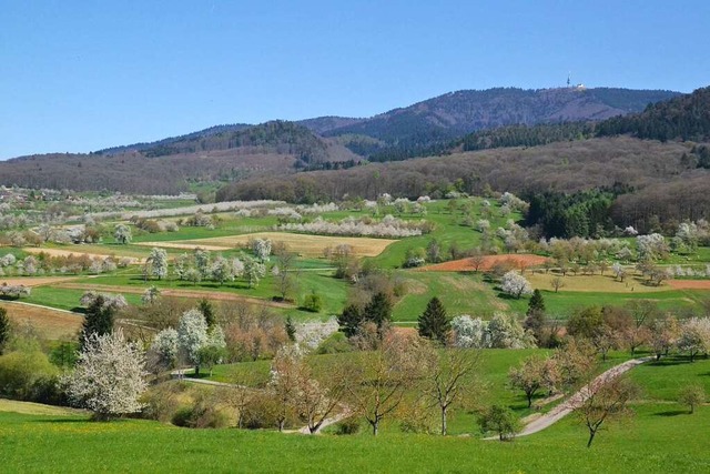 Liebliches Markgrflerland mit dem Bla... von Biotopen steht auf dem ILEK-Plan.  | Foto: faktorgrn