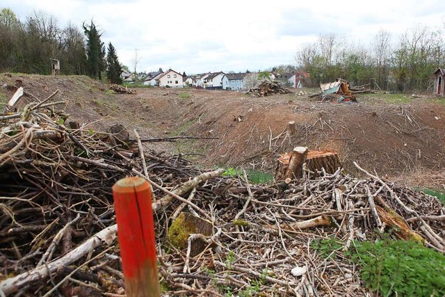 In Mietersheim ist in Waldstck gerode...Vorfall entwickelt sich nun zur Posse.  | Foto: Bastian Bernhardt