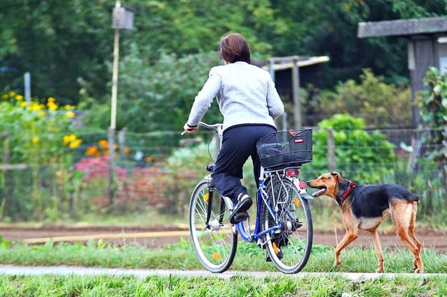 Der Hund soll der Frau ins Vorderrad g..., woraufhin sie strzte (Symbolfoto).   | Foto: Daniel Ernst  (stock.adobe.com)