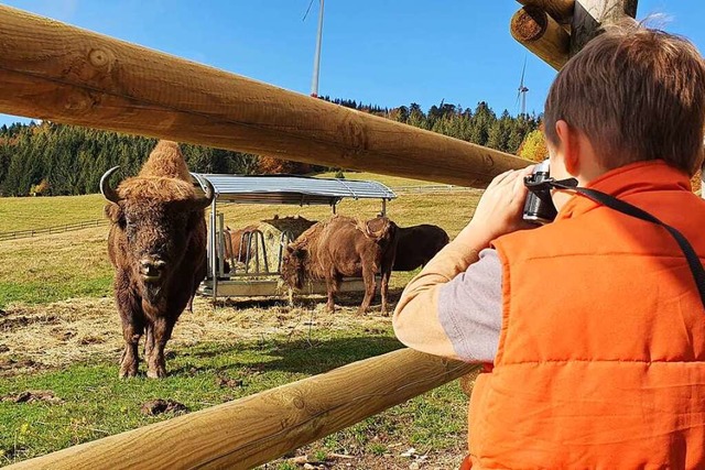 Ein Hingucker fr Jung und Alt: Die Wi... knftig genutzt wird, ist noch offen.  | Foto: Andr Hnig