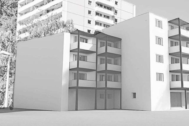 Waldkircher Wohnungswirtschaft investiert fnf Millionen Euro in 18 Wohnungen