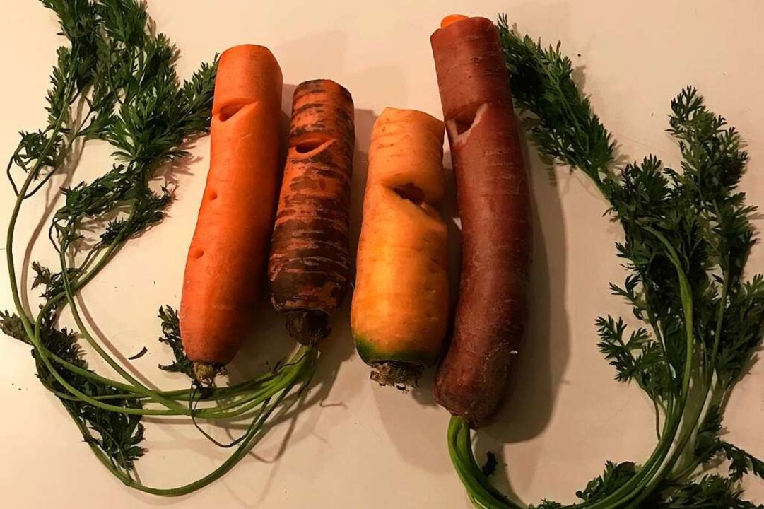 Karotten und Rettiche mussten als Flte hinhalten.  | Foto: Anna Castro Ksel