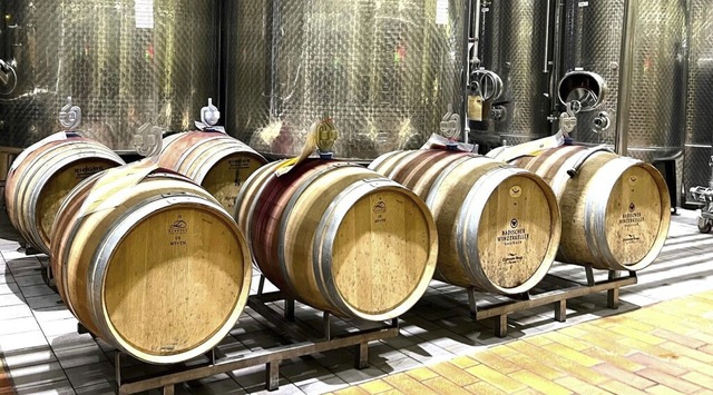Im Badischen Winzerkeller reifen die Weine jetzt heran.  | Foto: Badischer Winzerkeller