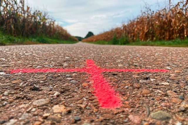 Was bedeuten die pinken Kreuze in Langenwinkel?  | Foto: Mark Alexander