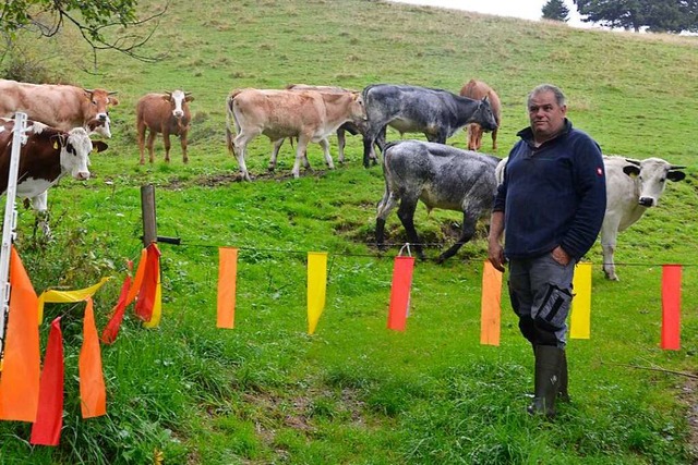 Markus Kaiser beobachtet eine seiner R.... In seinem Betrieb hlt er 240 Tiere.  | Foto: Christiane Sahli