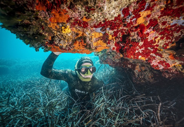 Das Foto hat der Unterwasserfotograf u... bei der griechischen Insel Alonnisos.  | Foto: Uli Kunz, uli-kunz.com