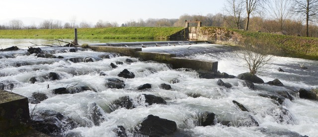 Das Elzwehr  bei Kollmarsreute soll f... einen lngeren Fischabstieg erhalten.  | Foto: Gerhard Walser