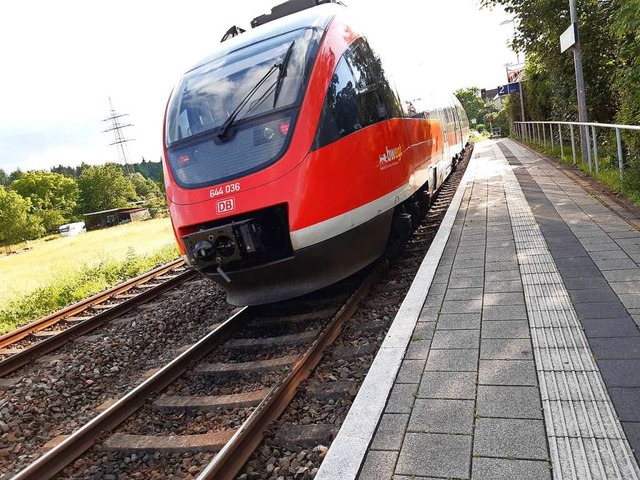 Ein Zug auf der Hochrheinbahn.  | Foto: Vlk,Melanie