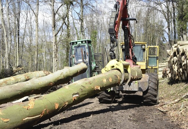 Der Waldumbau erfordert viel Einsatz.  | Foto: Robert Bergmann