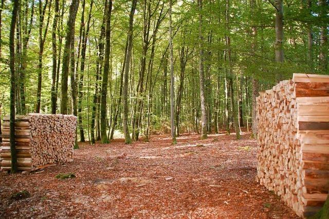 Der Druck auf den Wald in Adelhausen, Minseln und Nordschwaben wächst