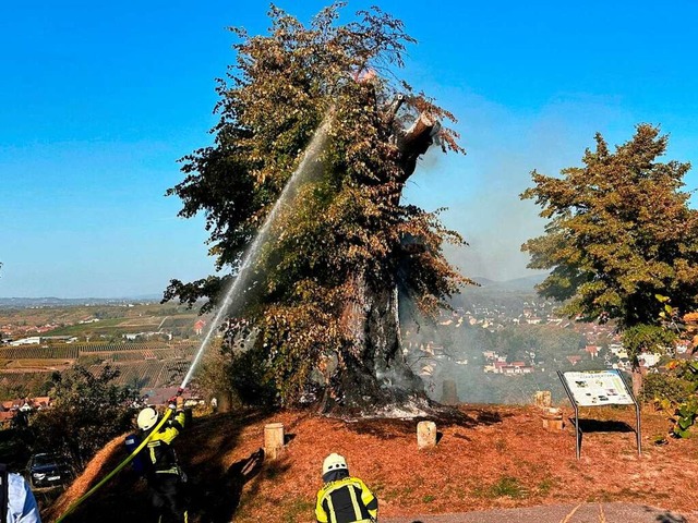 Die Feuerwehr beim Lschen der Luginslandlinde  | Foto: Volker Mnch