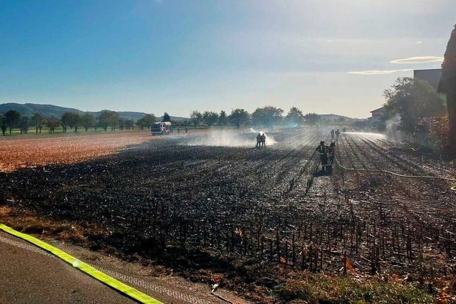 Auf einer Flche von 50 mal 250 Metern...en Wyhl und Endingen waren im Einsatz.  | Foto: Feuerwehr Endingen