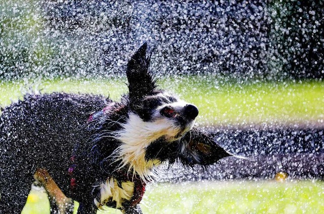 Auch im Oktober ist Abkhlung in Sdbaden noch ntig.  | Foto: Thomas Warnack (dpa)