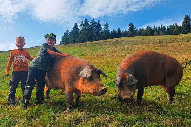 Lean Gerwig und Ben van Kreij kennen die Schweine sehr gut...  | Foto: Privat
