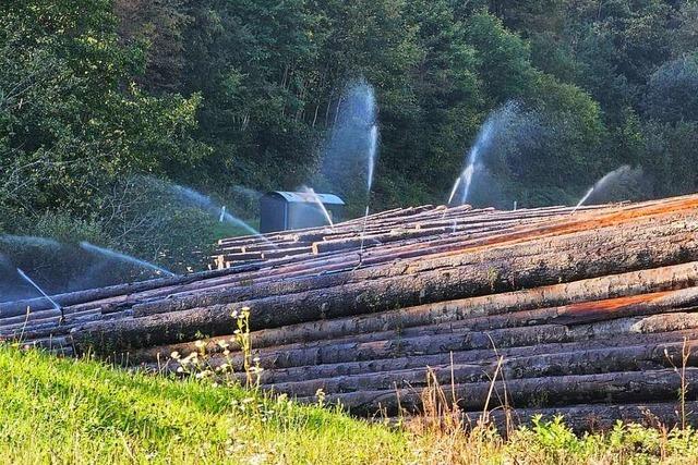 Sondererlaubnis ermglicht Beregnung des Tegernauer Holzlagers in Trockenzeiten