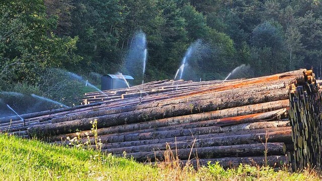 Das umstrittene Holznasslager in Teger...einer Sondererlaubnis weiter beregnet.  | Foto: Gerald Nill