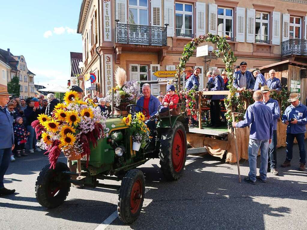 Das Winzerdorf Ihringen feiert mit dem Herbstausklang die Einfuhr des letzten Erntewagens.