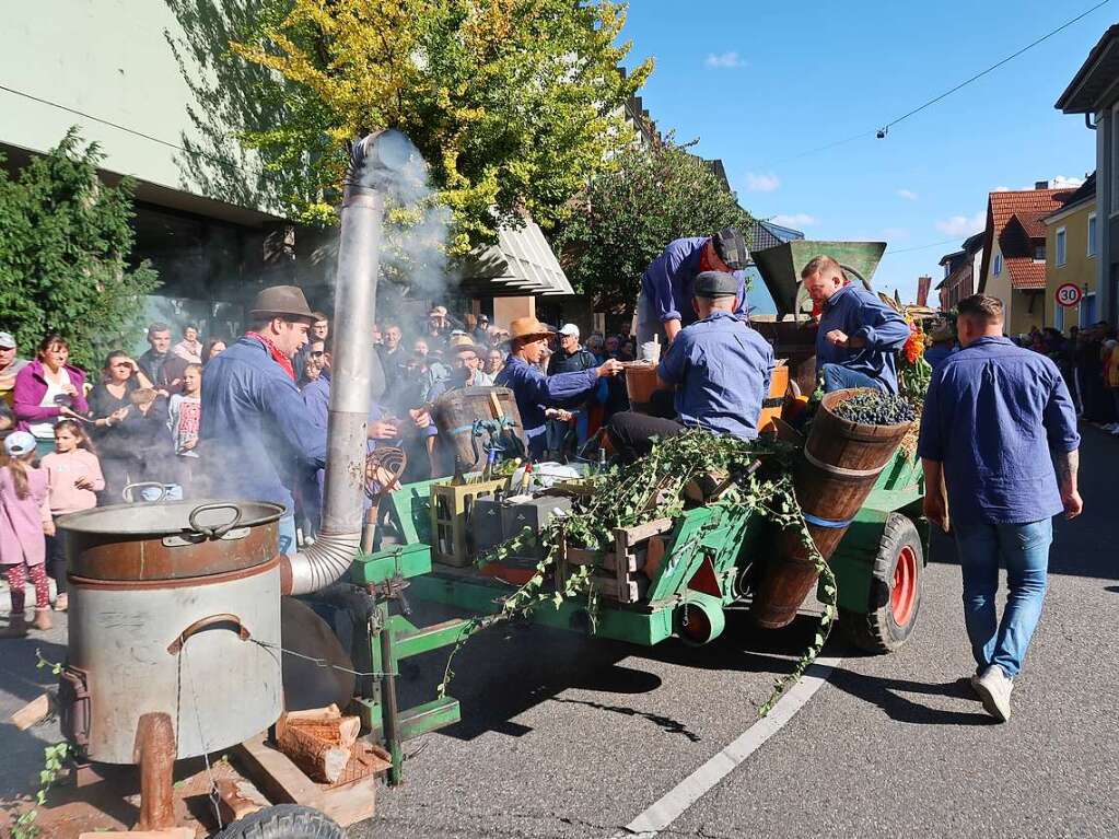 Das Winzerdorf Ihringen feiert mit dem Herbstausklang die Einfuhr des letzten Erntewagens.