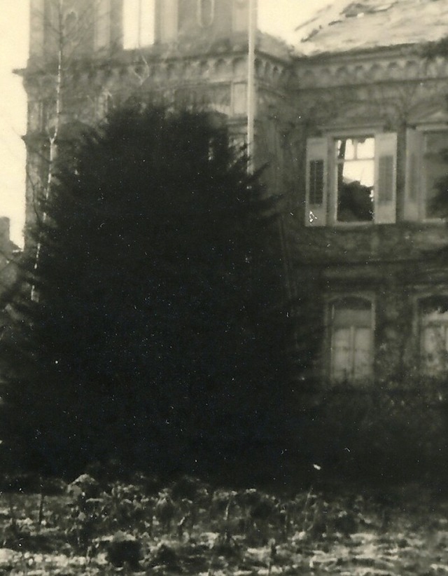 Hinter Bumen versteckt lag das &#8222...0; der Pfhlers in ihrem groen Park.   | Foto: Stadtarchiv Offenburg