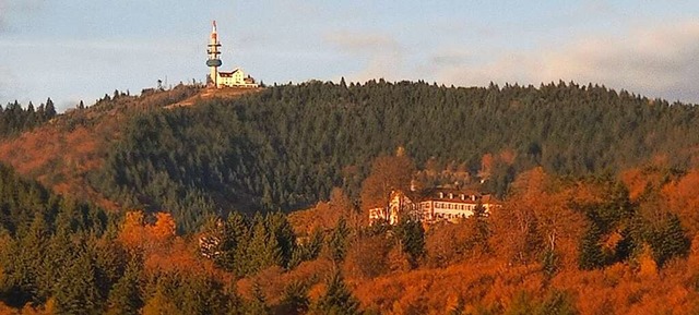 Auf dem Blauen bei Malsburg-Marzell wo...seit langem einen Windpark errichten.   | Foto: Victoria Langelott