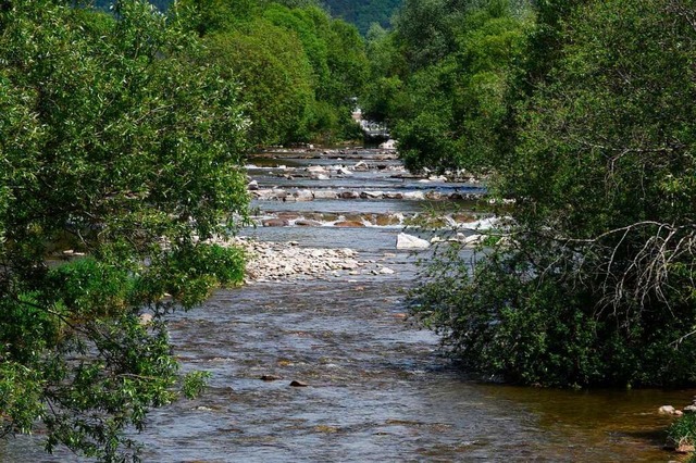 Die Wiese: Aufgrund der Trockenheit gi...n ein Entnahmeverbot im Kreis Lrrach.  | Foto: Jonas Hirt