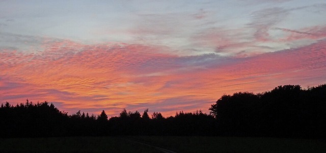 Die Abendstimmung bei der Wetterstatio...rstadt vermittelt sommerliches Flair.  | Foto: Helmut Kohler