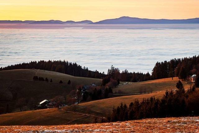 Leserfotos vom Schauinsland