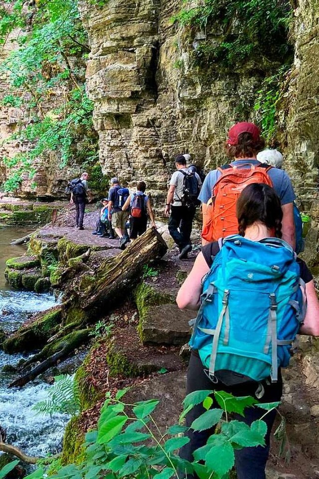 Mitglieder des Schwarzwaldvereins Lffingen auf einer Wandertour  | Foto: Jens Fischer