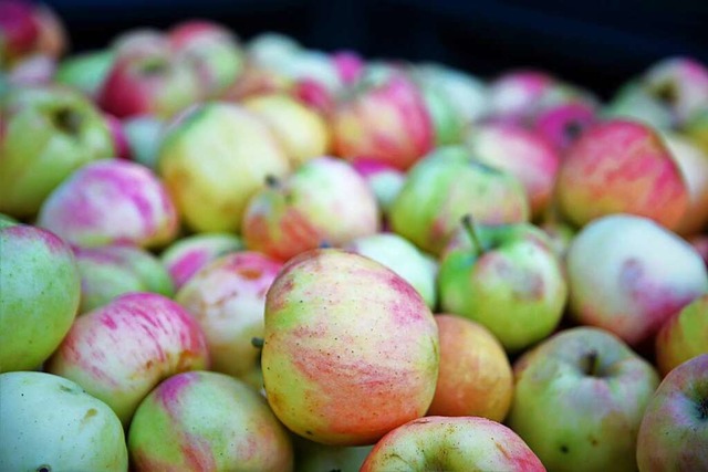 Wer wrde  nicht gerne in diesen Apfel...rwartet &#8211; so auch in Denzlingen.  | Foto: Kathrin Blum