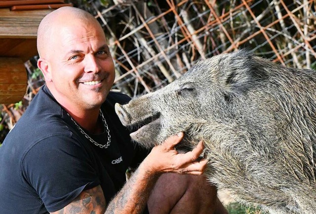 Ein Wildschwein als Haustier - Dennis Renschler und sein Keiler Friedrich  | Foto: Uli Deck (dpa)